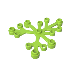 Plant, Leaves 6 x 5