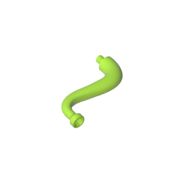 Animal Body Part / Plant, Tail  / Trunk / Tentacle / Tongue / Vine / Tree Branch (Short Tip)