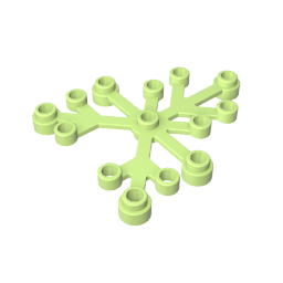 Plant, Leaves 6 x 5