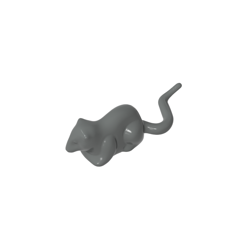 Animal, Rodent, Rat / Mouse [Plain] - Color ID 72