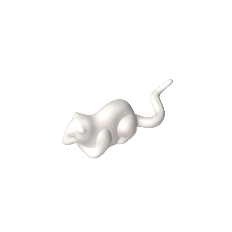 Animal, Rodent, Rat / Mouse [Plain] - Color ID 90