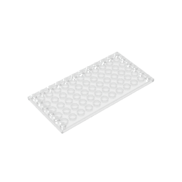 Plate Special 6 x 12 with Studs on 3 Edges - Color ID 180